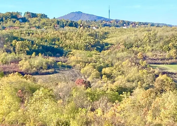 Διαμέρισμα Avala Sunset